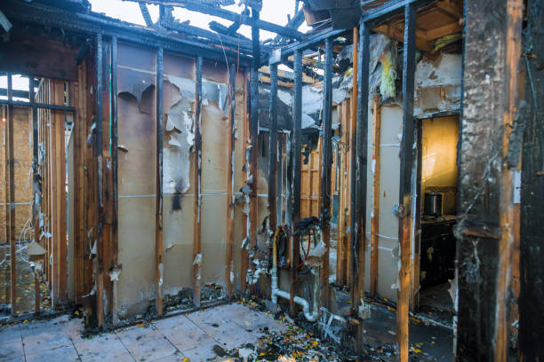 Professional Fire Damage Removal technician working in Spring, TX