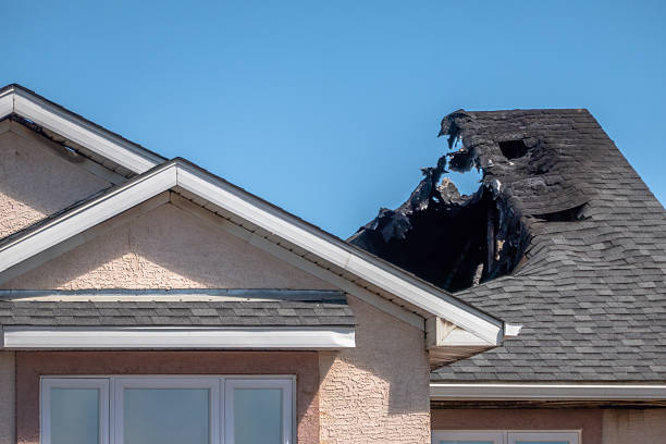 Top rated local Fire Damage Removal specialists in Spring, TX